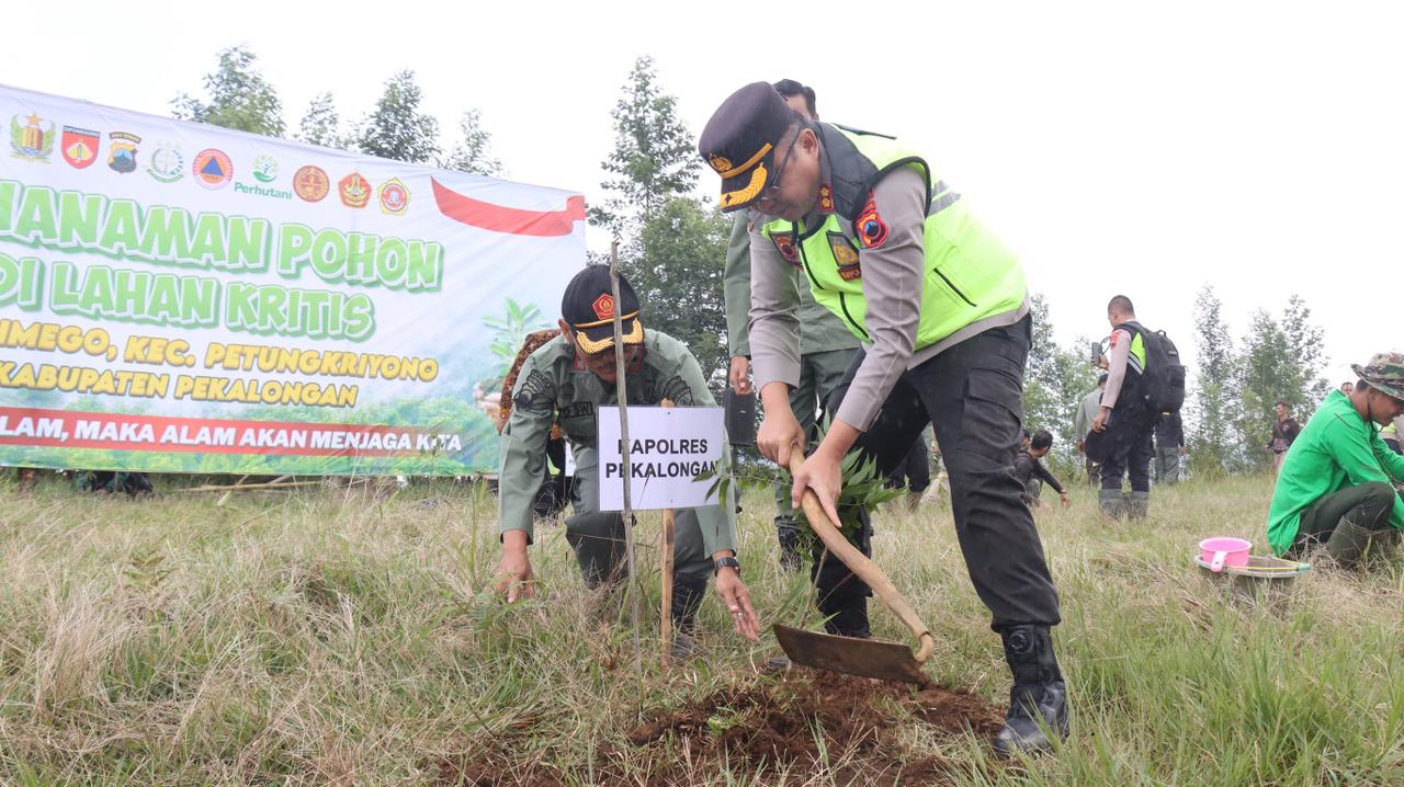 Jadi Lahan Pertanian Secara Ilegal, Aparat Gabungan Reforestasi Hutan Lindung di Petungkriyono 