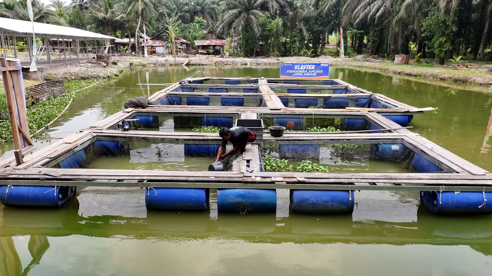 Pemberdayaan BRI Ungkit Perekonomian Desa Empang Baru Terus Bergeliat