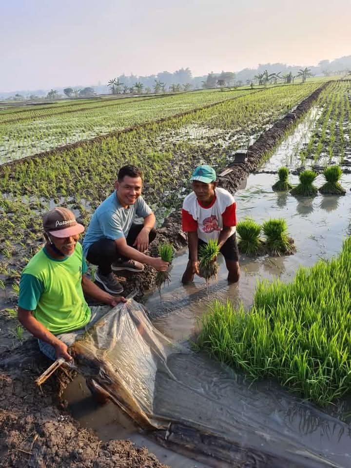 Penjual Pupuk di Sragen Terus Mendapat Pengawasan Ketat