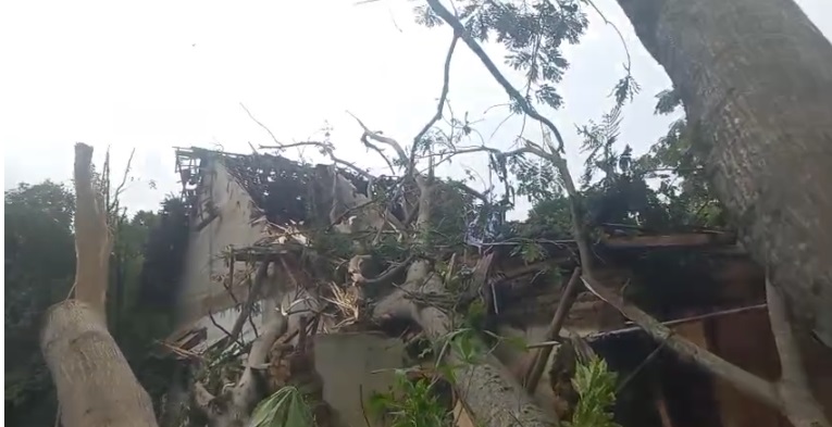 Diterjang Puting Beliung, Rumah Warga Wonotunggal Batang Ambruk Tertimpa Dua Pohon Besar