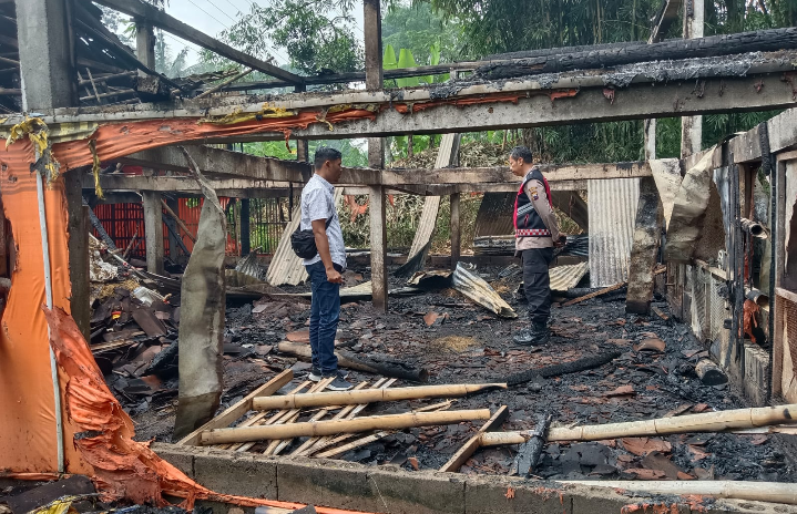 Ditinggal Tidur, Kandang Berisi Ribuan Ayam Ludes Terbakar