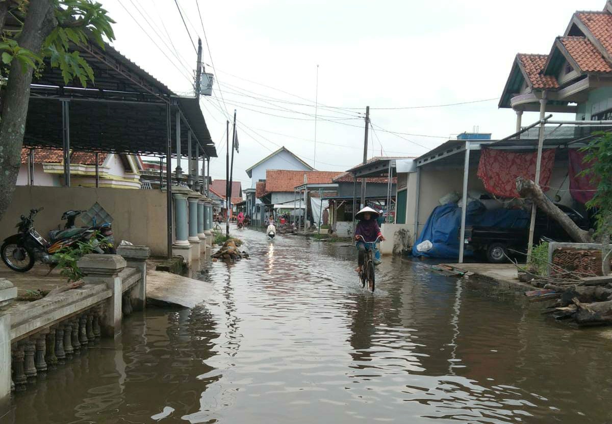 Banjir Rob Rendam Rumah Warga di Pemalang