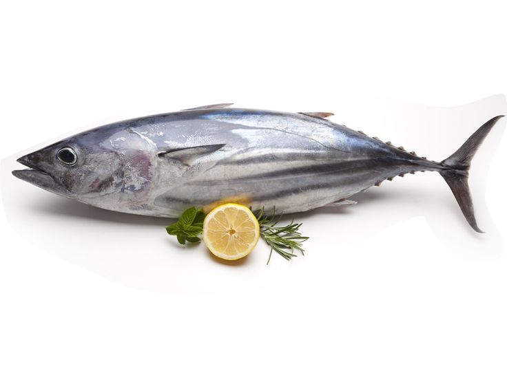 7 Daftar Manfaat Ikan Tuna Untuk Kesehatan, Salah Satunya Bikin Otak Encer