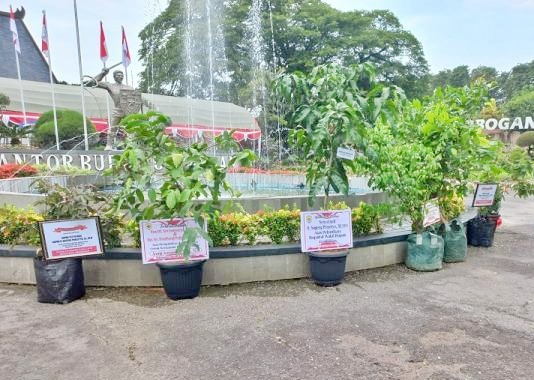 Unik, Sejumlah Ucapan Selamat  HUT ke-299 Grobogan berupa Tanaman Hidup