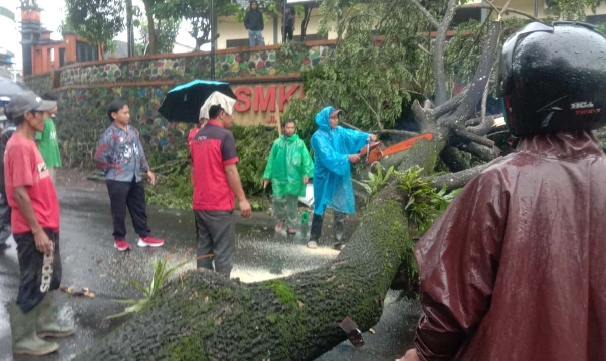 Pohon Tumbang Tutup Jalan Provinsi Wonosobo-Purworejo, Macet Hampir 1 Jam