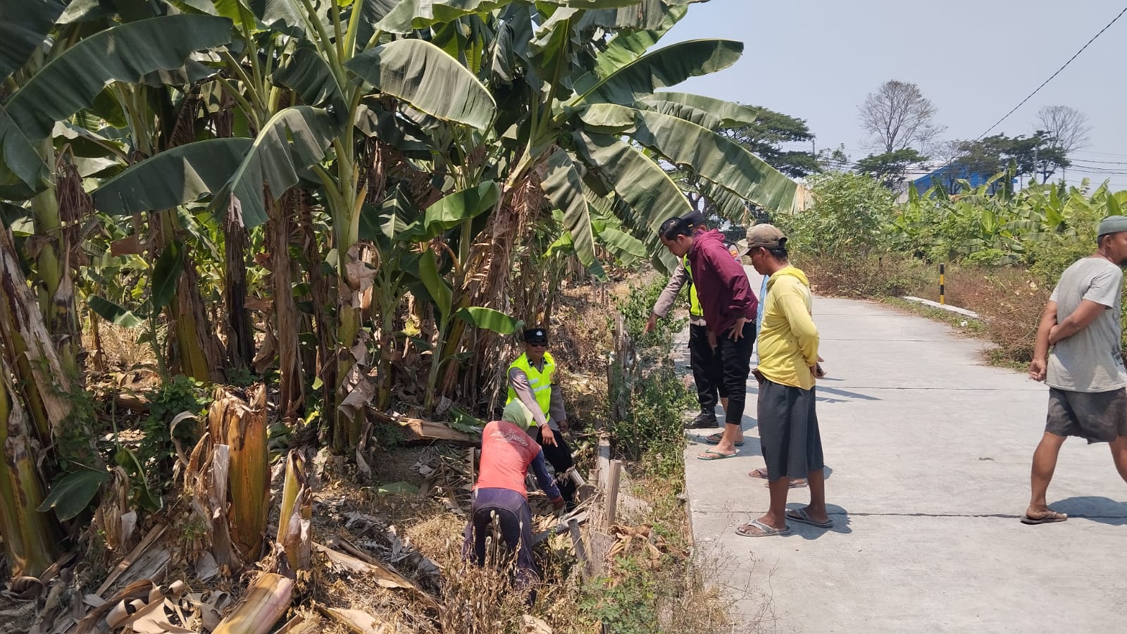 Warga Pasuruhan Kidul Kudus Dikejutkan Bayi di Kebun Pisang, Polsek Jati Lakukan Penyelidikan