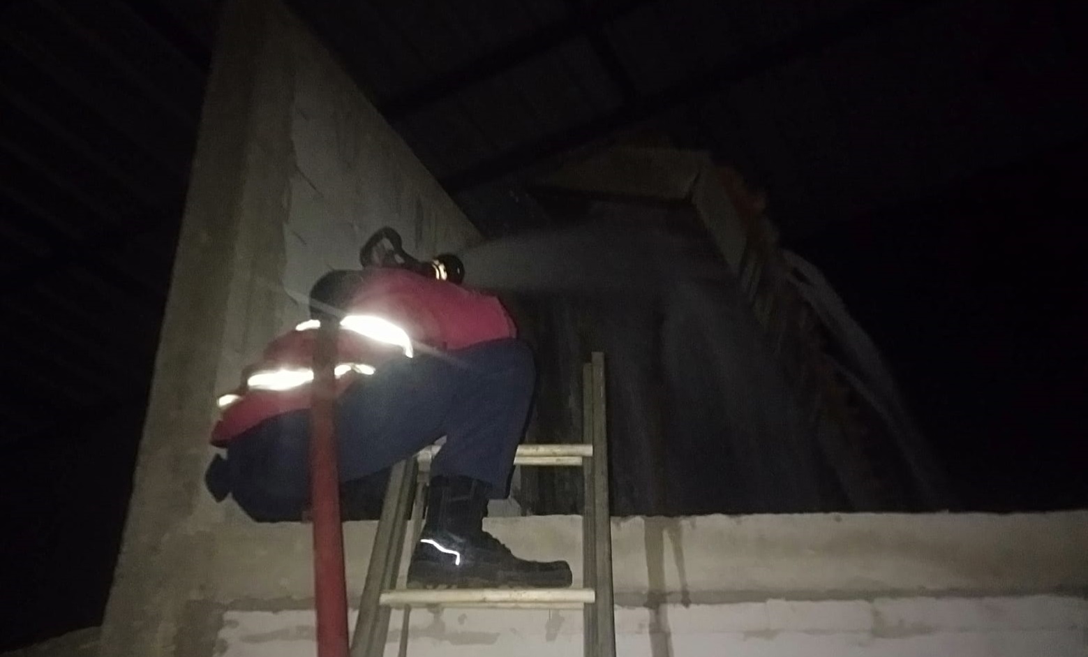 Sarang Tawon Raksasa Gegerkan Warga Batang, Damkar Evakuasi Malam-malam