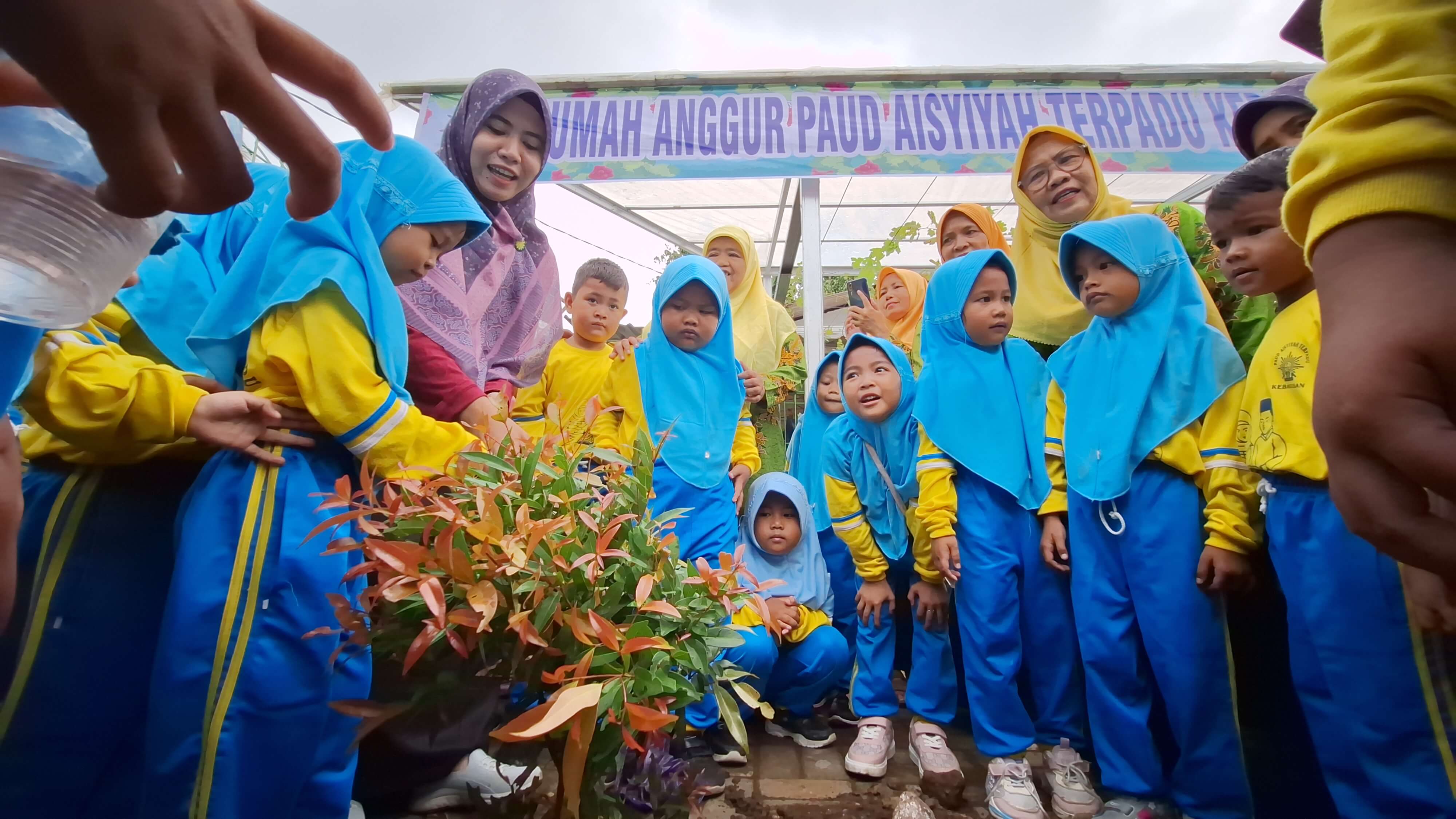 Hibah Pohon Anggur Warnai Aksi Tanam Sejuta Pohon di TK ABA Kebagusan