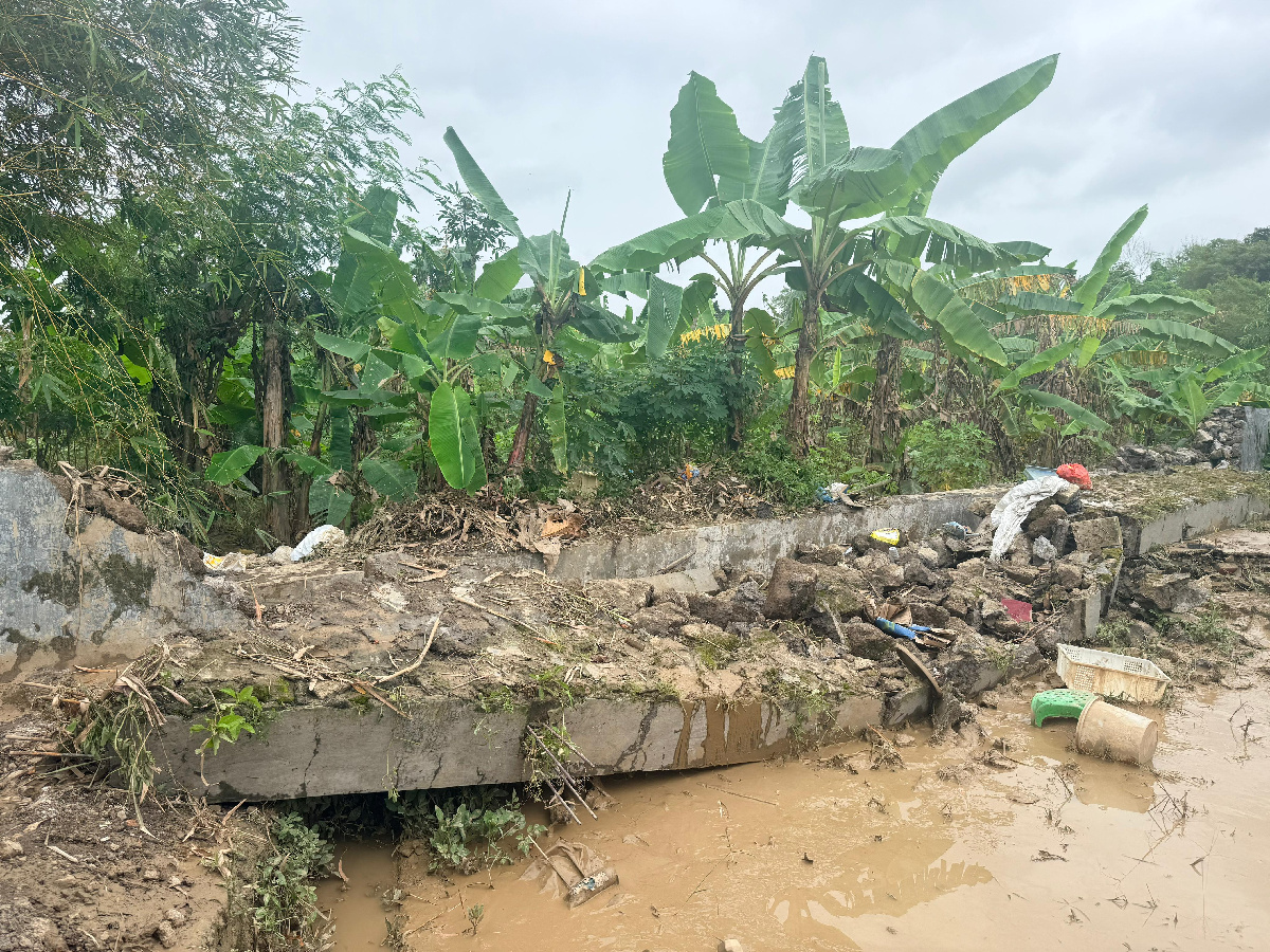 Talud Perumahan Rowosari Megah Asri 2 Semarang Jebol, Warga Tembalang Desak Pembuatan Tanggul Darurat 