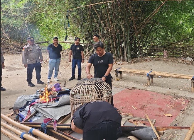 Polres Tegal Gerebeg Arena Sabung Ayam di Adiwerna