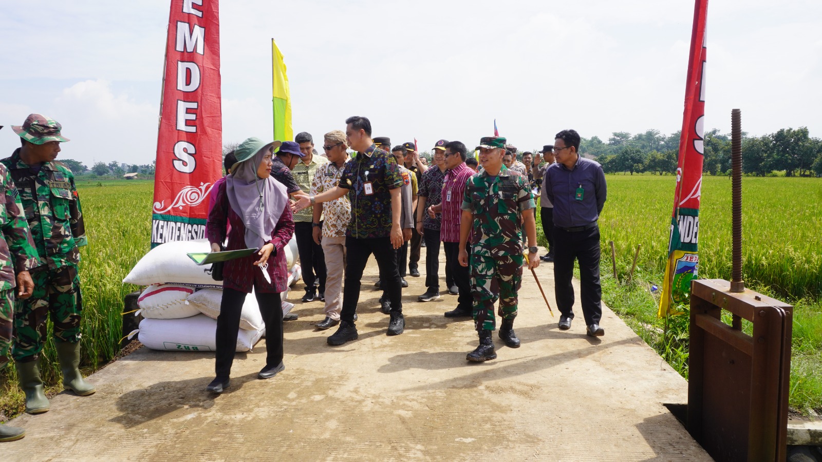 Bulog Pati Serap Gabah Petani Jepara Harga Layak