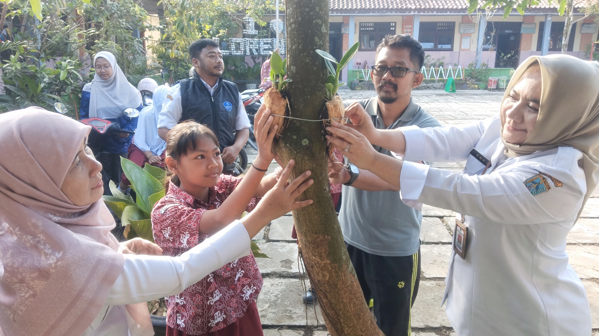 Mau Tahu 1.276 Bibit Tanaman Anggrek Hasil Rekor LEPRID di Salatiga, 'Larinya' Kemana? 