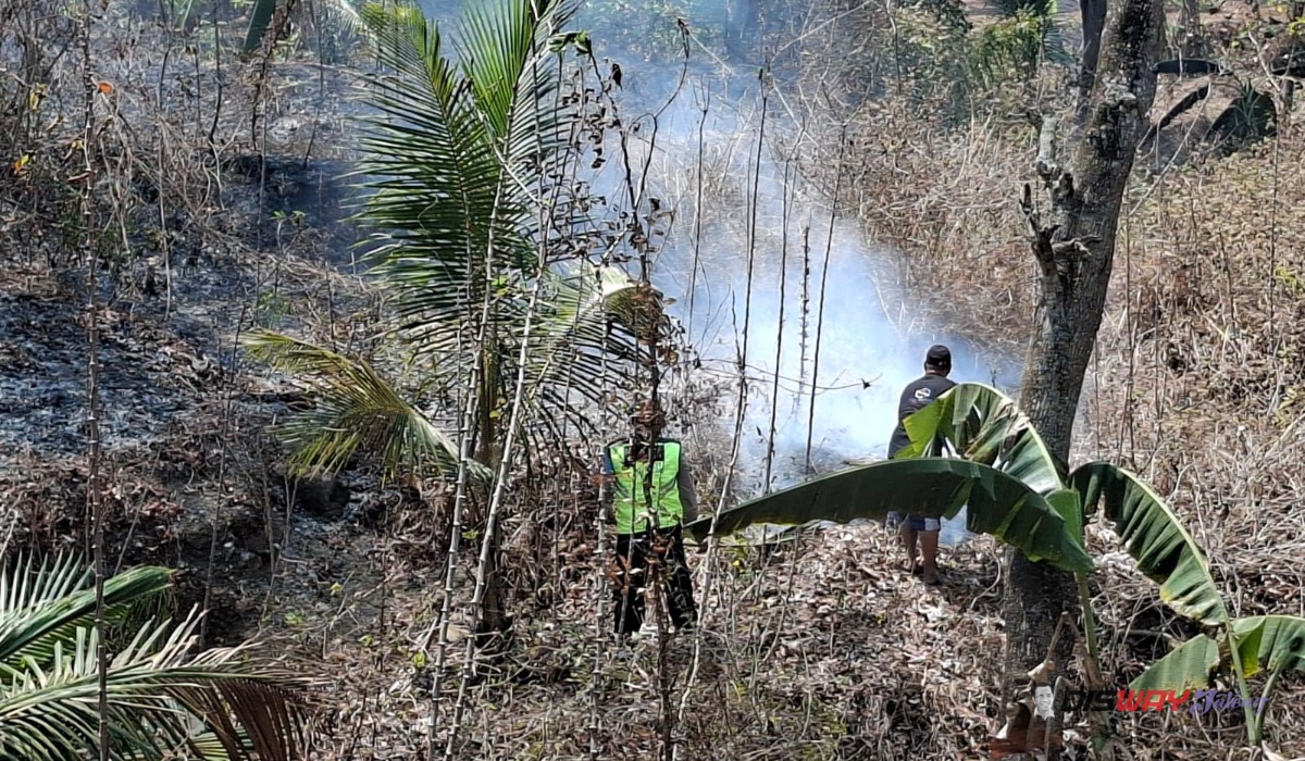 Dua Kebakaran Landa Kebumen dalam Sehari, 5,7 Hektare Lahan Hangus Dilahap Api 