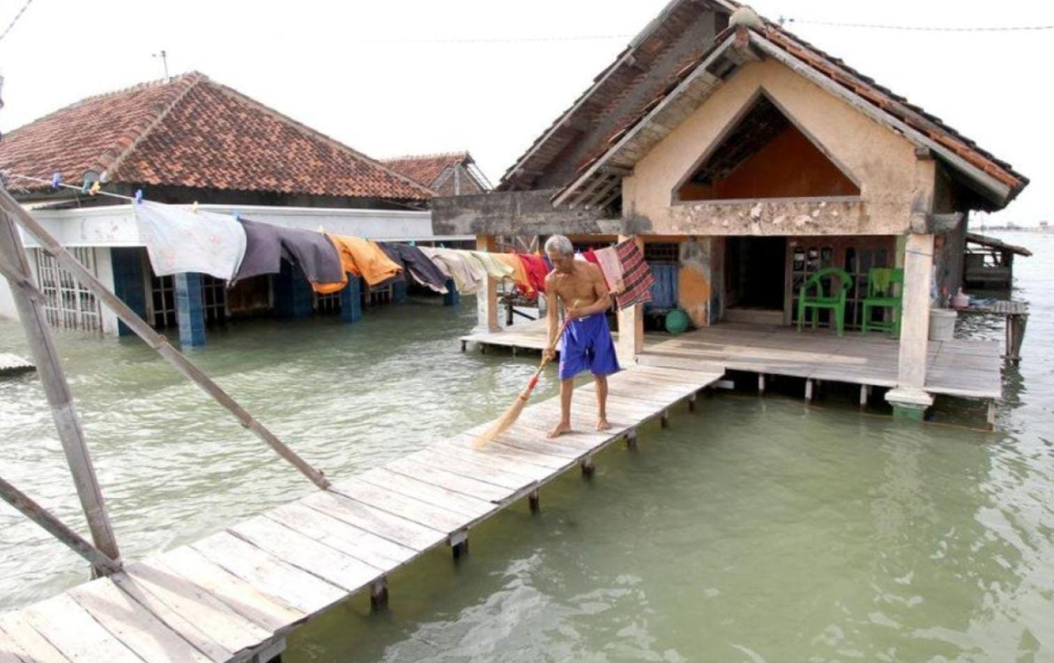 Tanah Sayung Turun hingga 20 Sentimeter per Tahun, Timbulsloko Hadapi Ancaman Rob Berulang