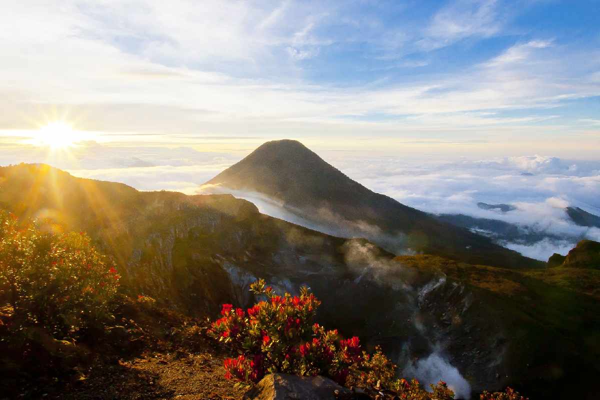 Mau Mendaki Gunung Gede Pangrango? Kamu Harus Tahu Dulu Fakta Ini!