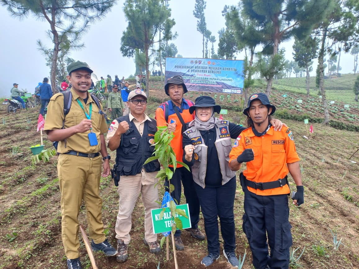 BPBD Dukung Pengembalian Fungsi Hutan Lindung 