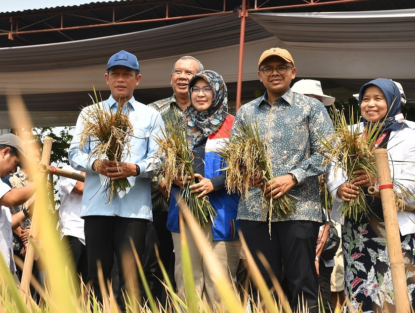 Batang Tahan Pangan, Tapi Lahan Rob Belum Selesai