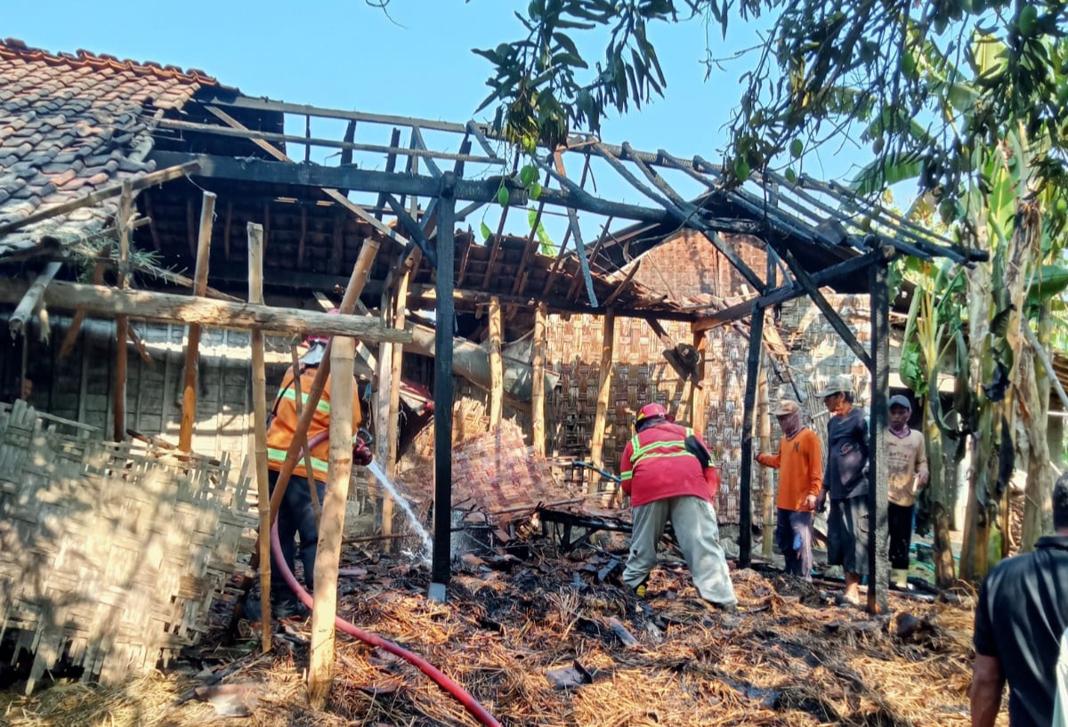 Kandang Jerami di Sumber Rembang Terbakar, Diduga Akibat Sisa Pembakaran Kotoran Sapi
