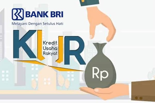 Rasakan Kemudahan dan Proses Cepat, Nasabah KUR BRI Merasa Terbantu