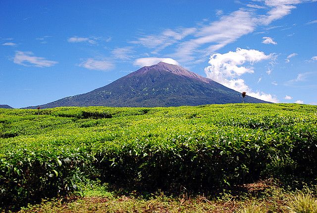 Gunung Kerinci: Gunung Indah nan Eksotis di Sumatera yang Menyimpan Banyak Mitos