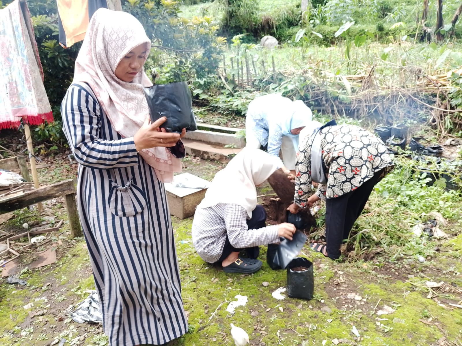 Manfaatkan  Pekarangan untuk Tanam Toga 