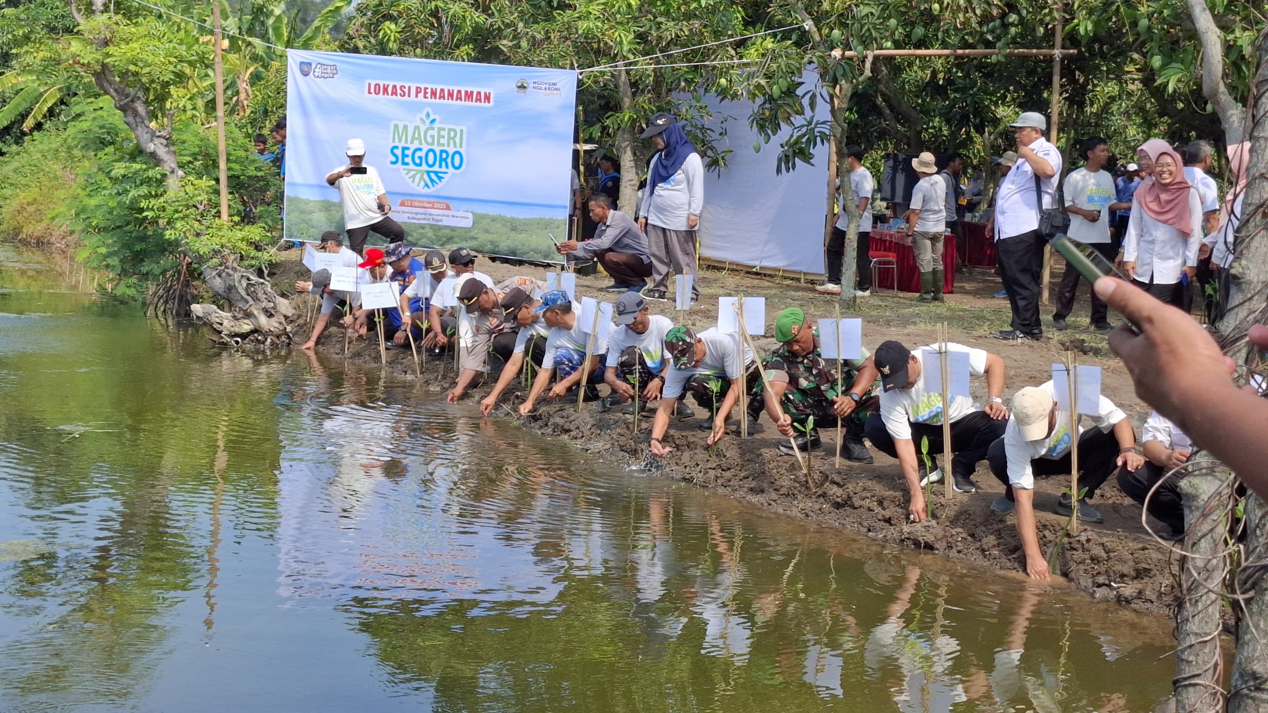 Berlanjut, Aksi Tanam Mageri Segoro 