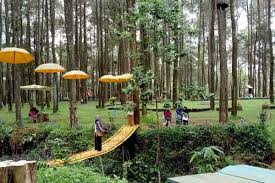 Berburu Aneka Spot Foto Kekinian di Wisata Prabalintang Danasari Tegal, Cek Tiket Masuk dan Lokasi