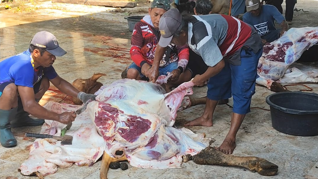 Kurban di Islamic Center Semarang Meningkat, 4 Sapi dan 16 Kambing Disembelih Selama Dua Hari