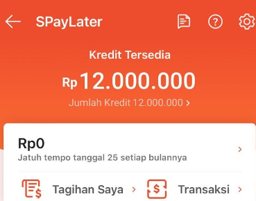 Mengatasi Shopee Paylater yang Muncul Coba Lagi Nanti dengan Mudah