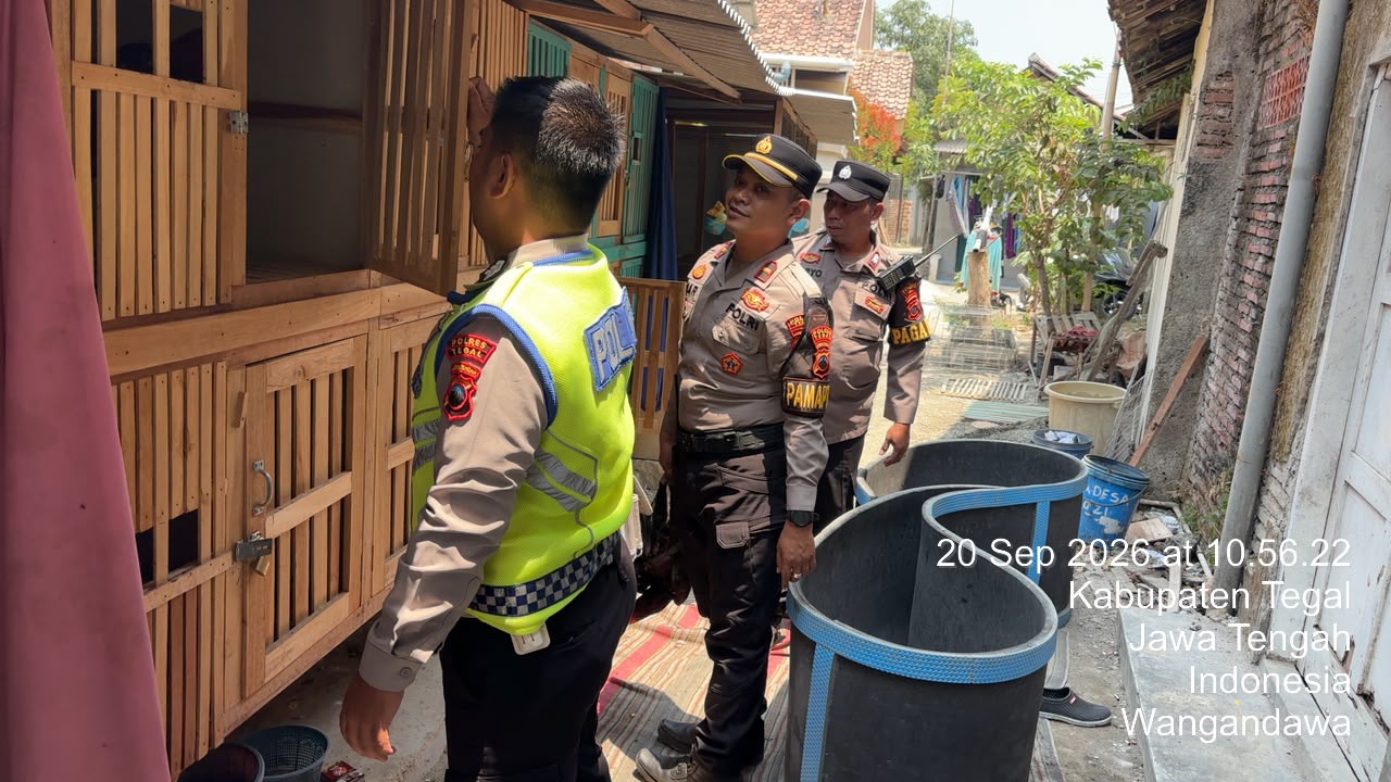 Polres Tegal Amankan Terduga Pelaku Sabung Ayam di Talang, Tindaklanjut dari Aduan 110