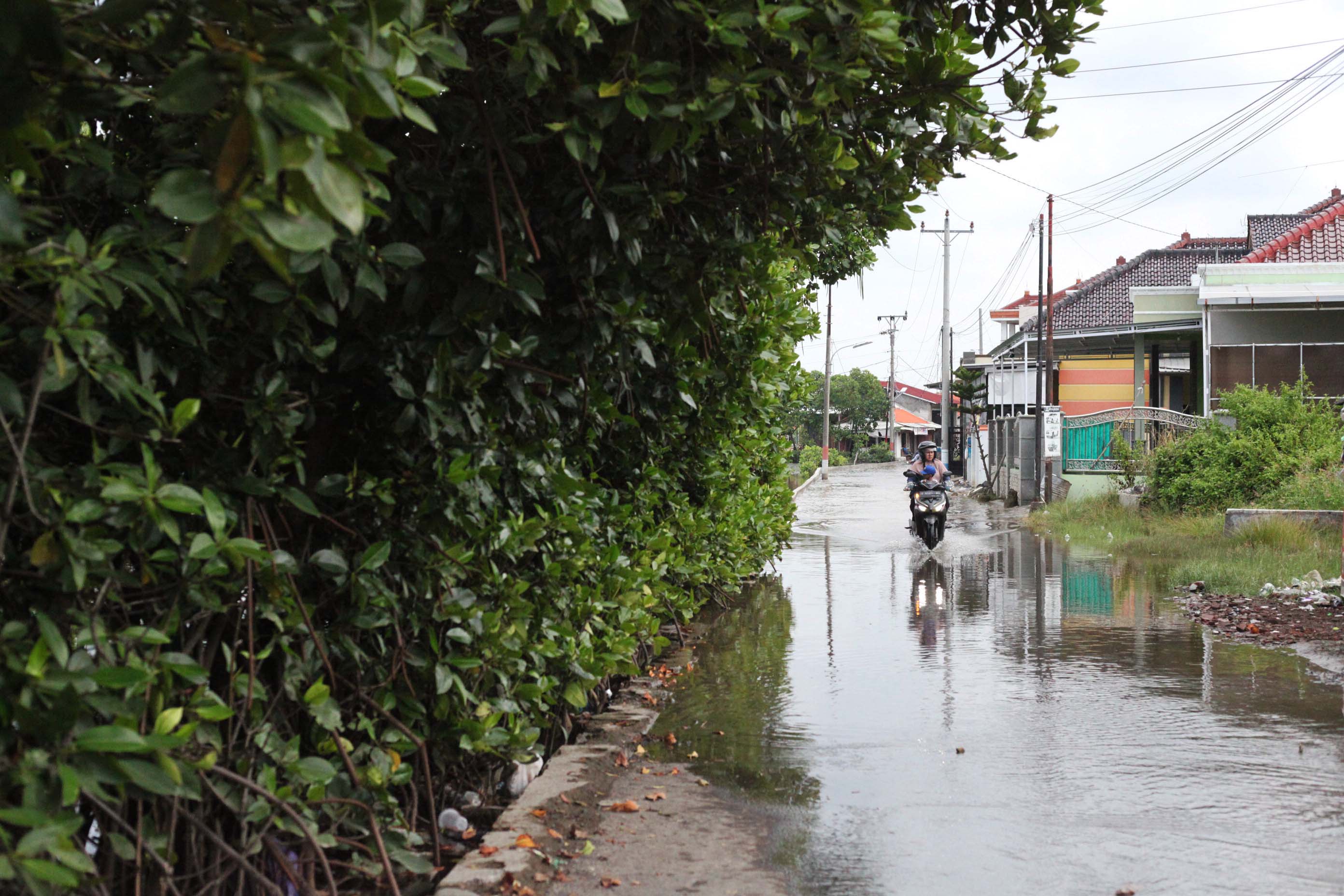 Waspadai Rob! Puncaknya Diperkirakan 17-19 September 2025 ‎