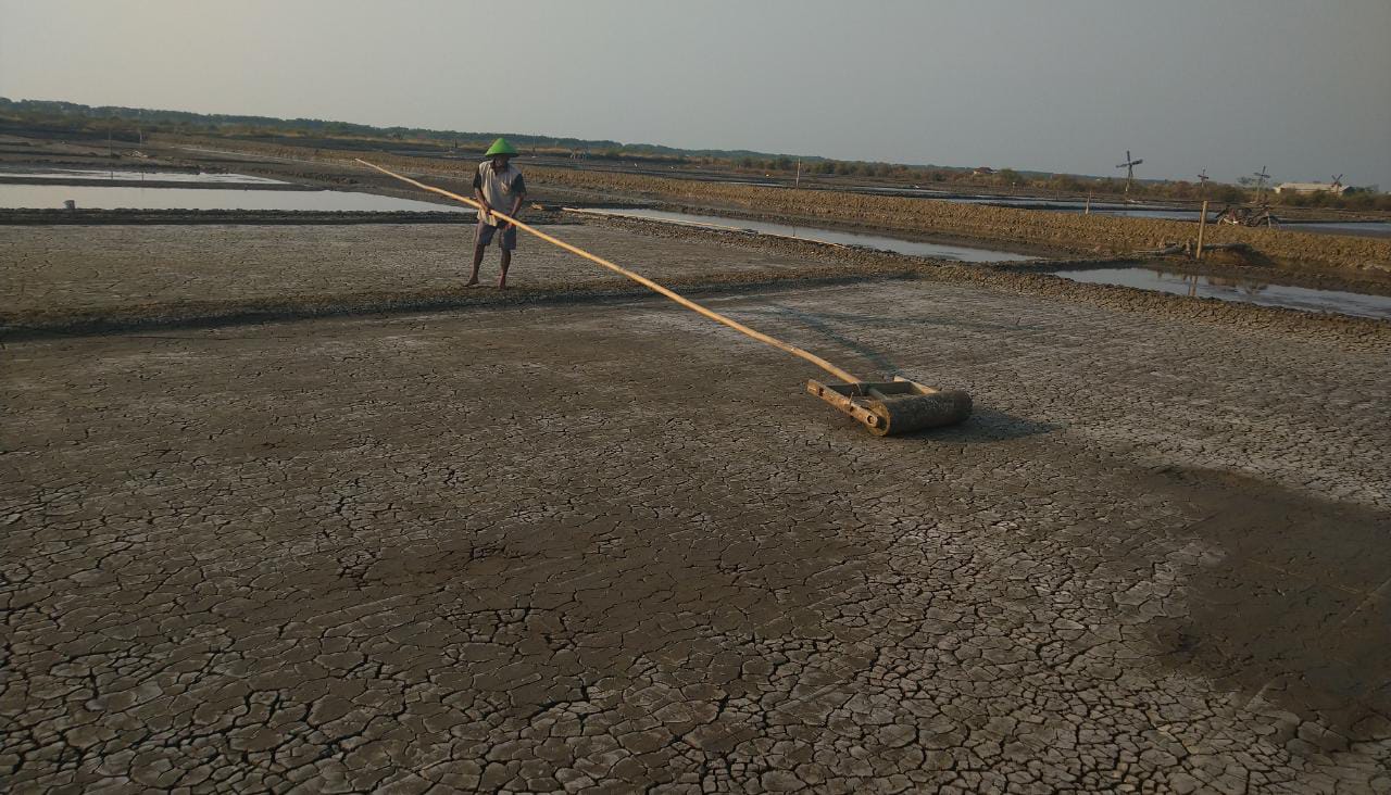 3 Tahun Mandeg, Petani Garam Brebes Kembali Produksi Lagi