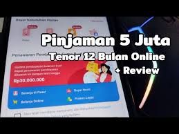 5 Pinjol Rp5 Juta Tenor 12 Bulan yang Aman Digunakan dan Cepat Cair