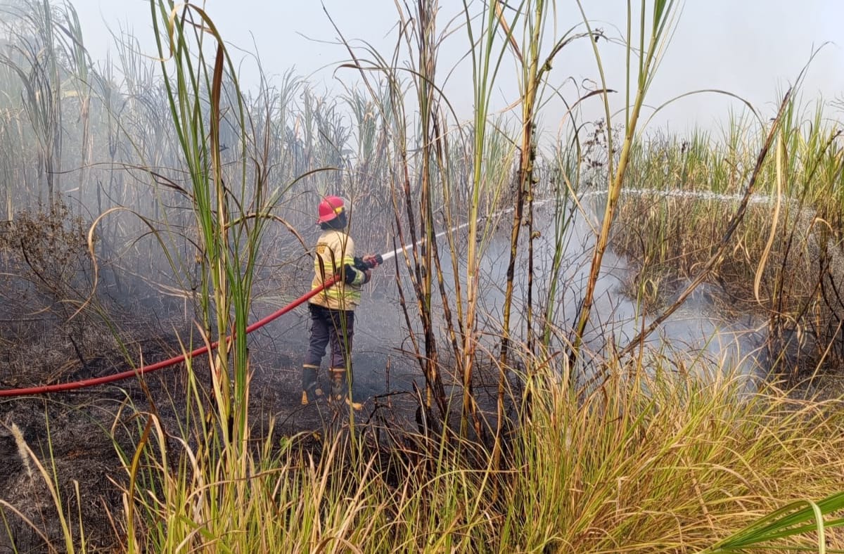 23 Kebakaran Lahan Terjadi di Batang, 14 Kasus Dipicu Bakar Sampah