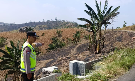 Satelit NASA-MODIS Mendeteksi Titik Panas di Pringapus Kabupaten Semarang