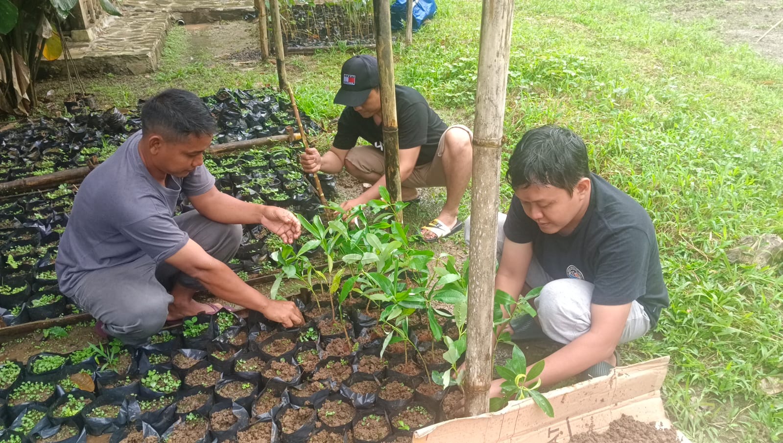 Lintas Komunitas Peduli Pekalongan Gelar Aksi Pembibitan Hutan Petungkriyono 