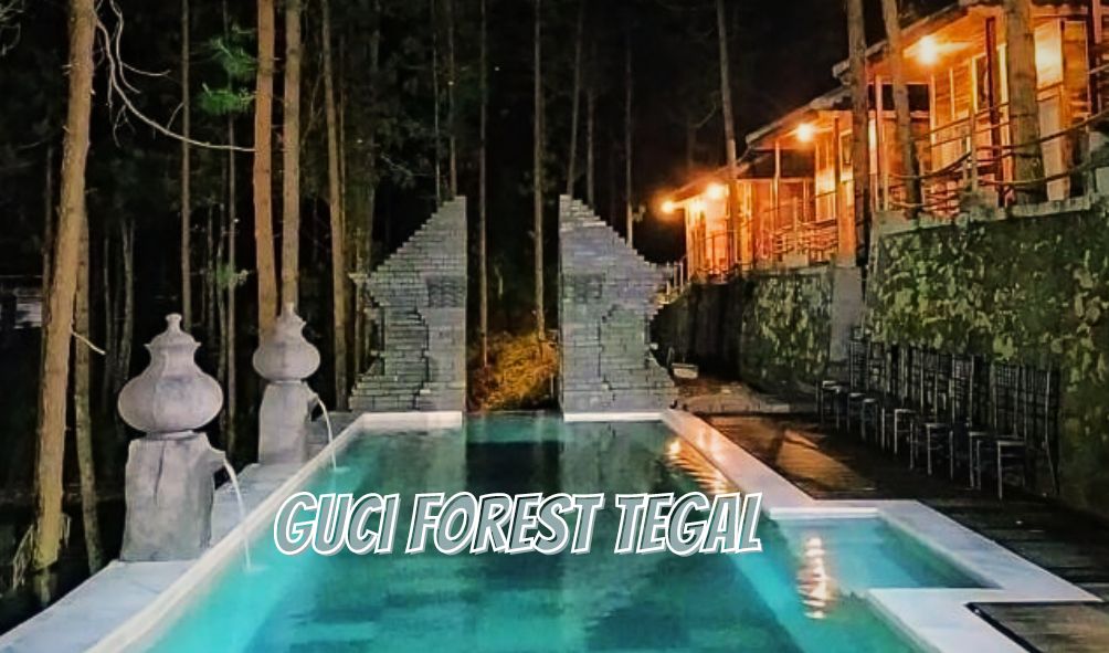 Guci Forest: Menikmati Kolam Air Panas dengan Panorama Hutan Pinus Estetik di Tegal