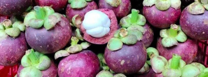 Jarang diketahui, Ini Dia 5 Khasiat Buah Manggis untuk Ibu Hamil