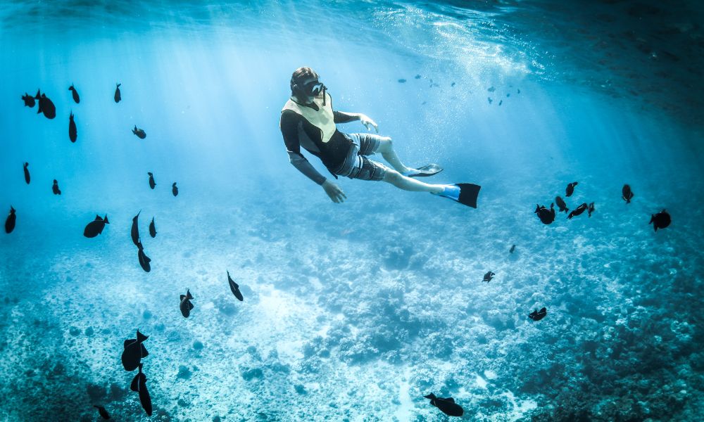 Karimunjawa, Keindahan Alam Tersembunyi di Jepara