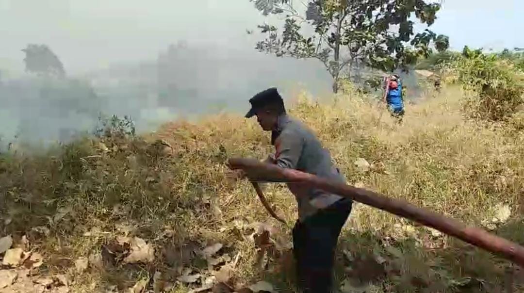 Hitungan Jam, Pabrik Kasur dan Bengkel Kayu di Tegal Ludes Terbakar
