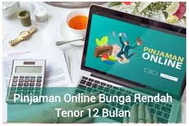 5 Pinjol Bunga Rendah Tenor 12 Bulan yang Terdaftar OJK, Limit hingga Rp30 Juta