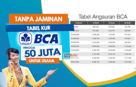 Cara Mengajukan Pinjaman Tanpa Jaminan di BCA dan Kenali 8 Jenis Lainnya