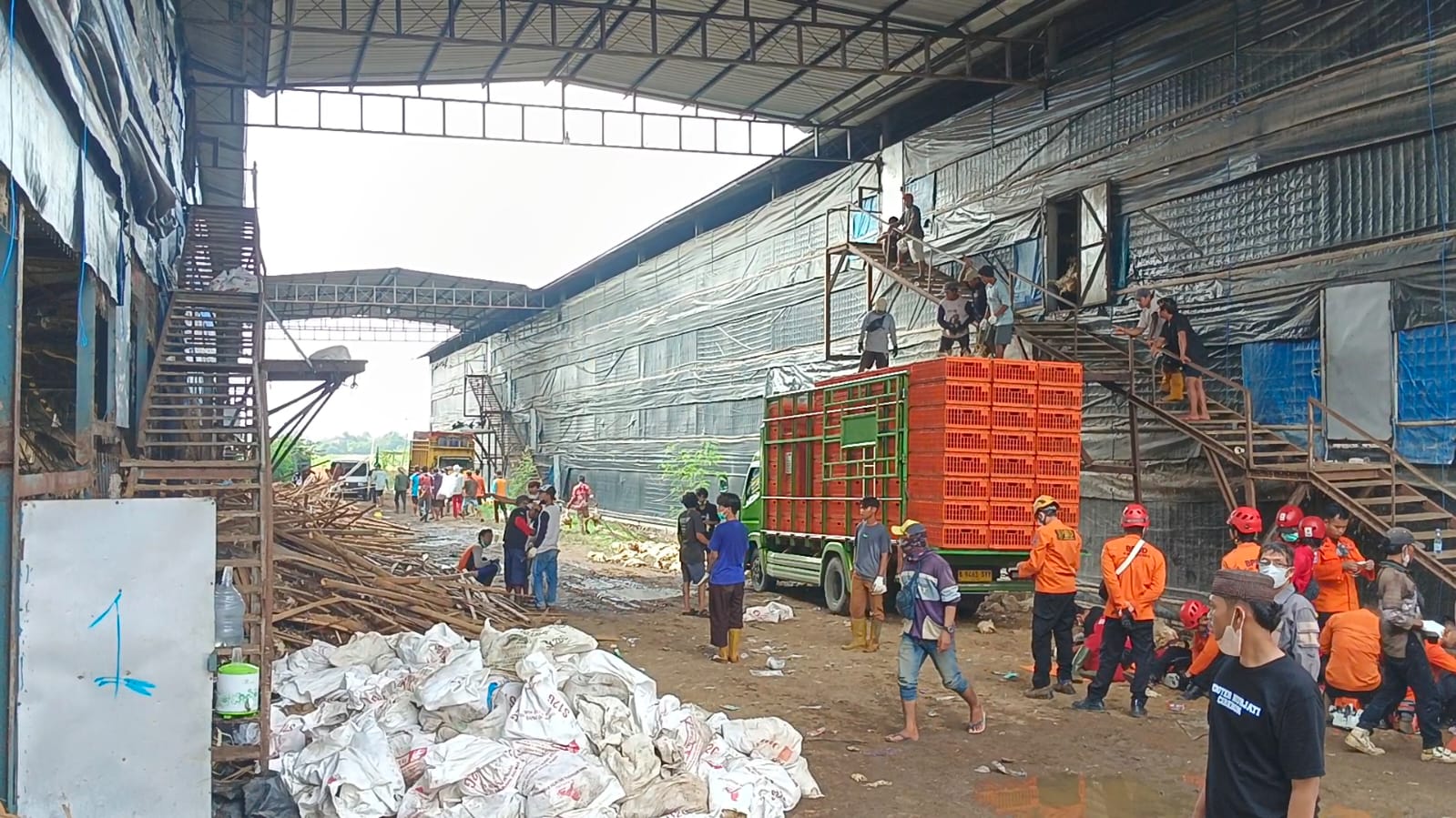 Kandang Ayam 4 Lantai di Brebes Ambruk, Satu Pekerja Diduga Tertimpa Reruntuhan