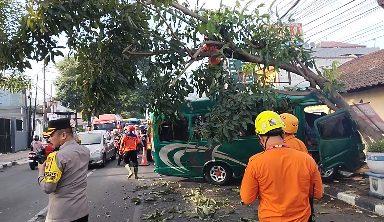 Melaju Diatas 60 Km/Jam, Prona Hantam Pohon Usai Hindari Penyebrang Jalan