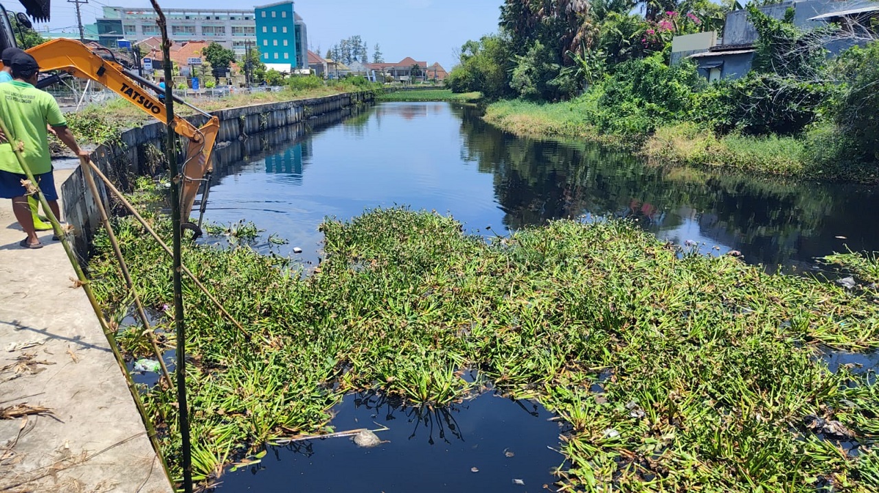 Penuh Enceng Gondok, Pemkot Kerahkan Puluhan Orang Susuri 8,6 Kilometer Sungai Kota Pekalongan 