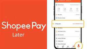 Berikut ini Penyebab dan 3 Cara Mengatasi Shopee Paylater yang Dinonaktifkan