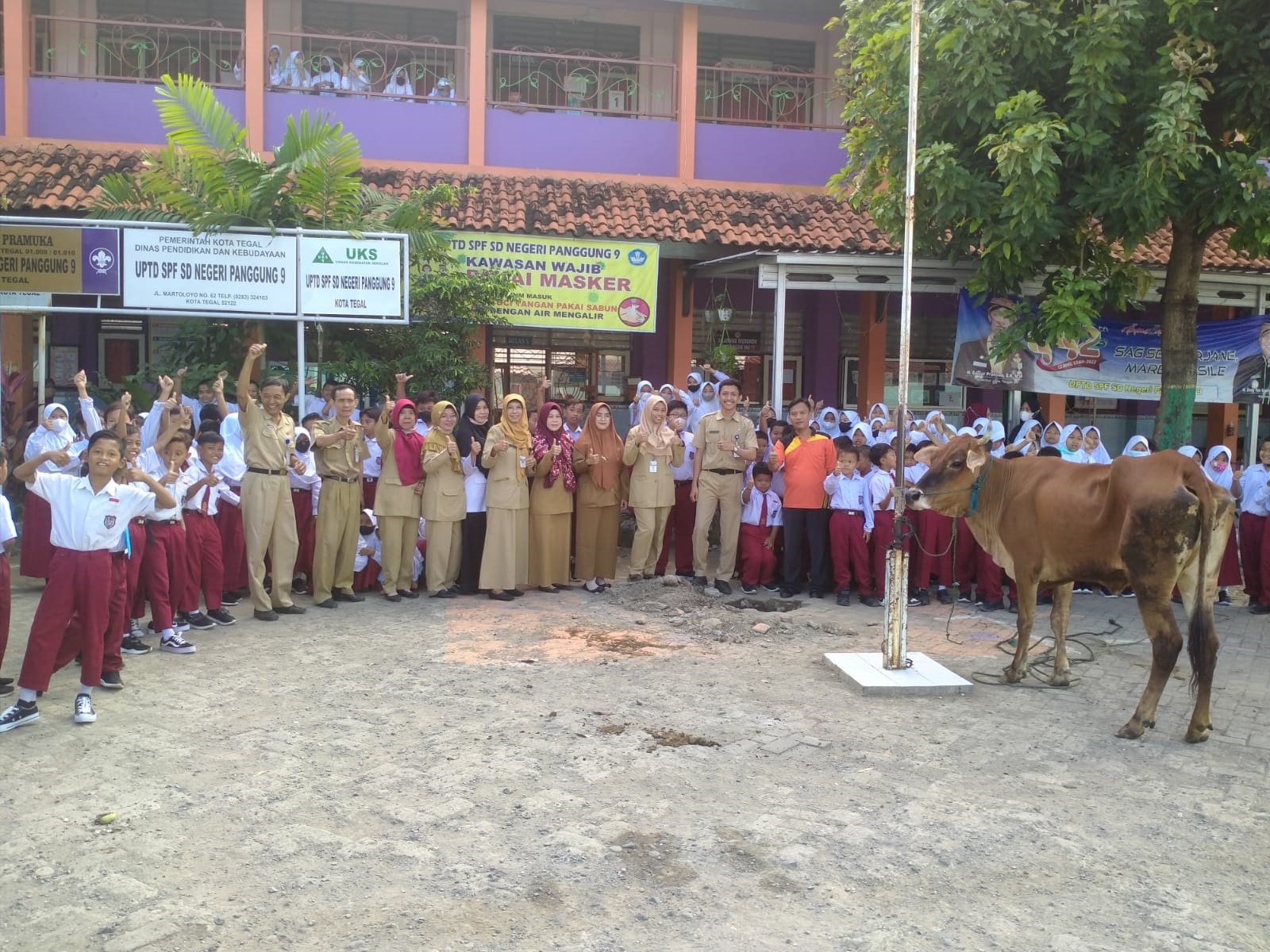 Bentuk Karakter Siswa, SDN Panggung 9 Kota Tegal Kurban Satu Ekor Sapi