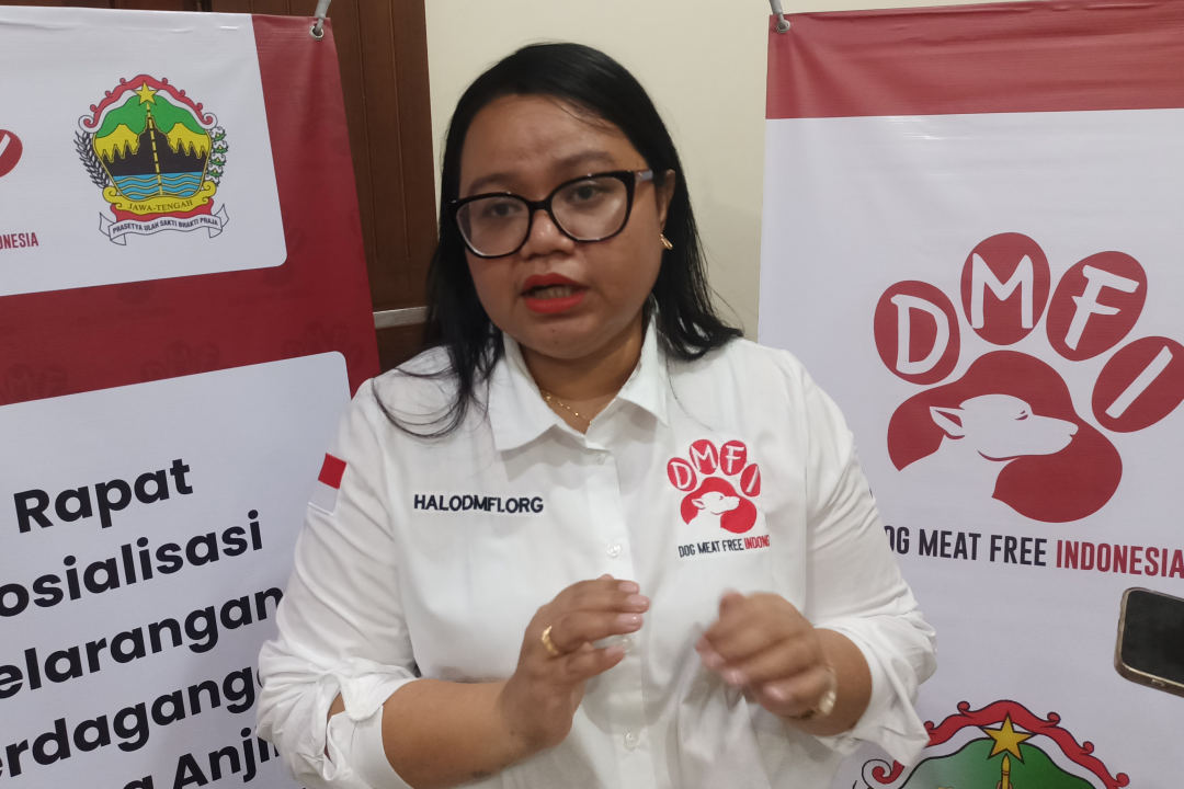 Peredaran Daging Anjing dan Kucing di Jateng Masih Tinggi, Dorongan Regulasi Diperkuat