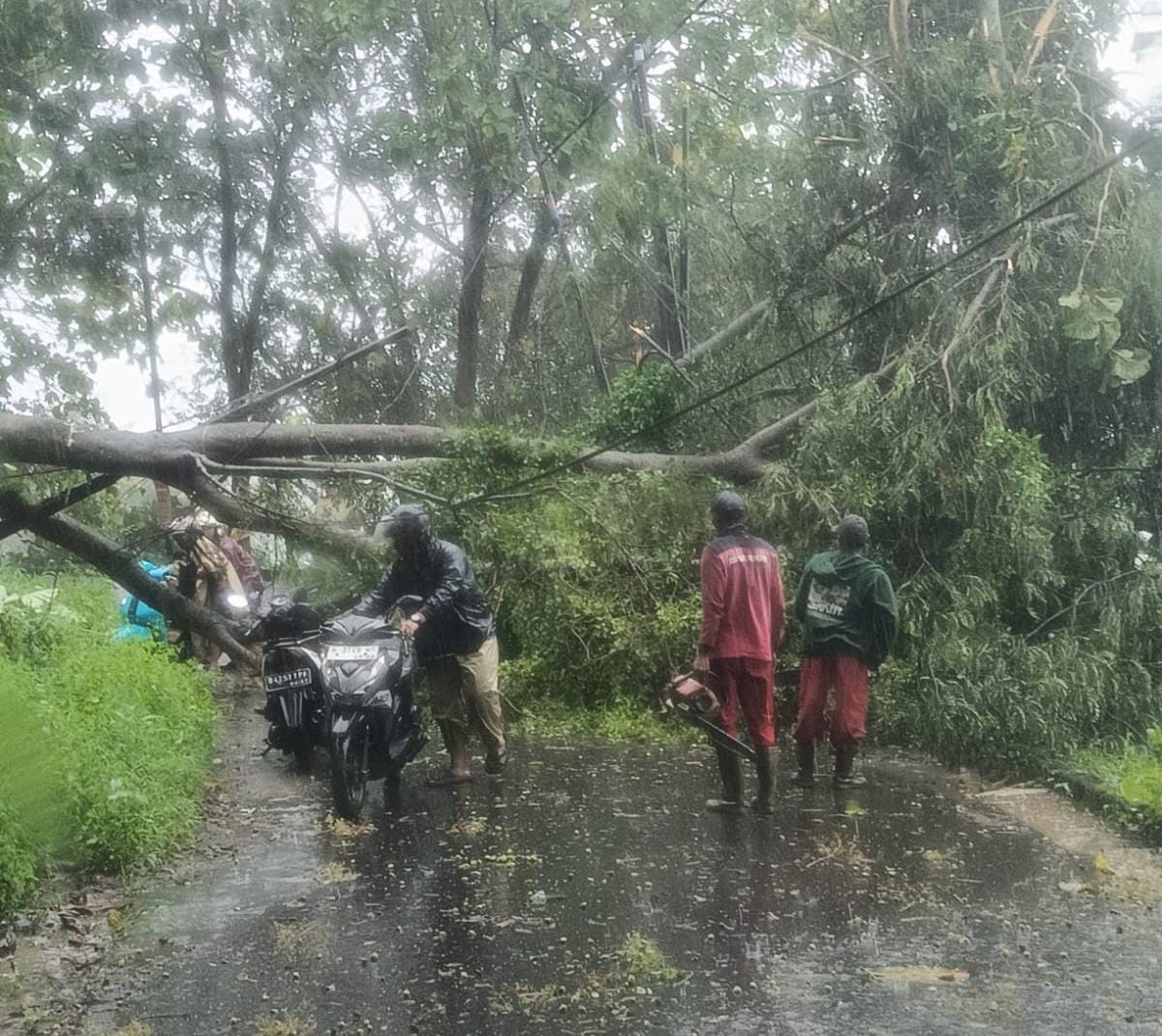 Hujan Deras dan Angin Kencang Porak-porandakan Kota Semarang