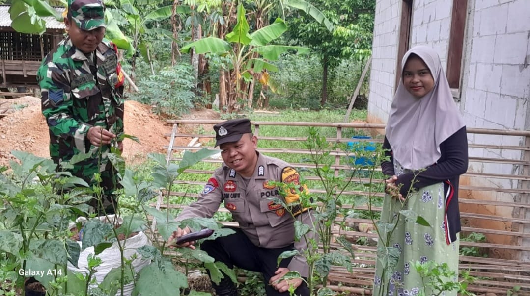 Demi Ketahanan Pangan, Bhabinkamtibmas  Jepara Dikerahkan Pantau Pertanian